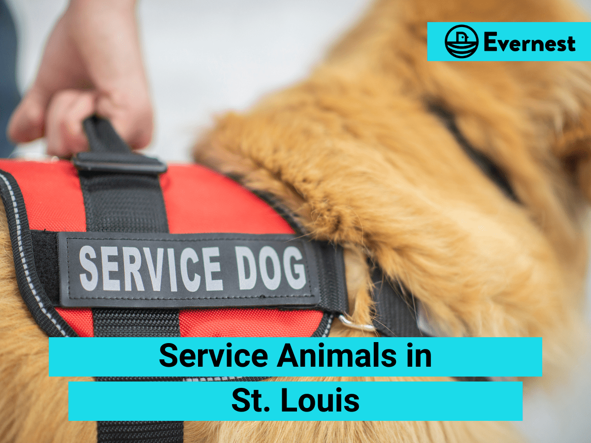 Service Animals: Everything Landlords Need to Know in St. Louis, Missouri